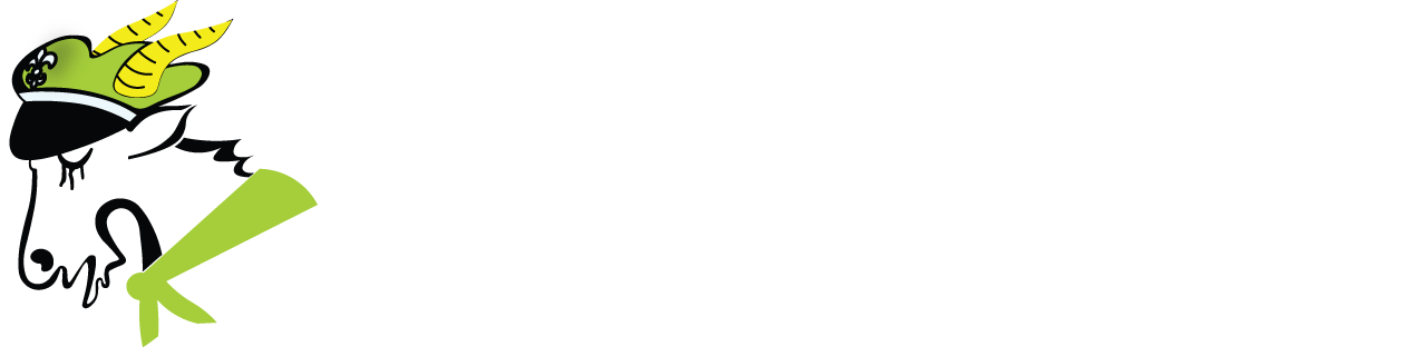 Hufiec ZHP Kędzierzyn-Koźle